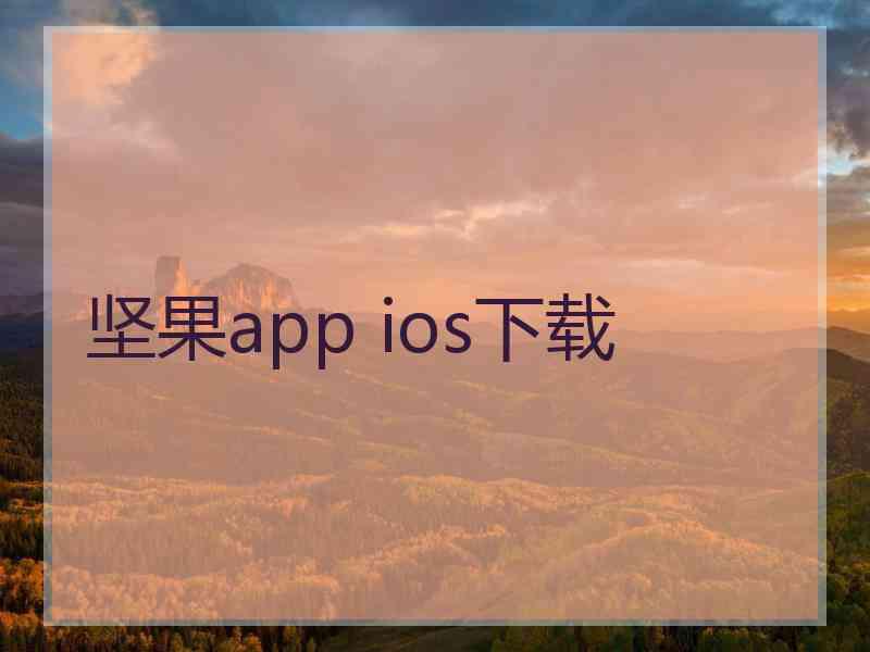 坚果app ios下载