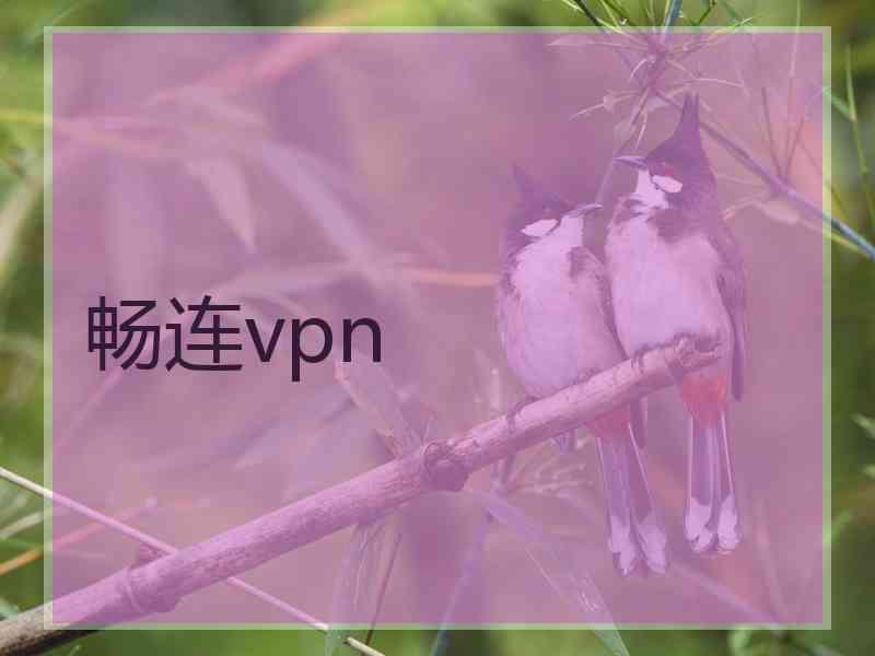 畅连vpn