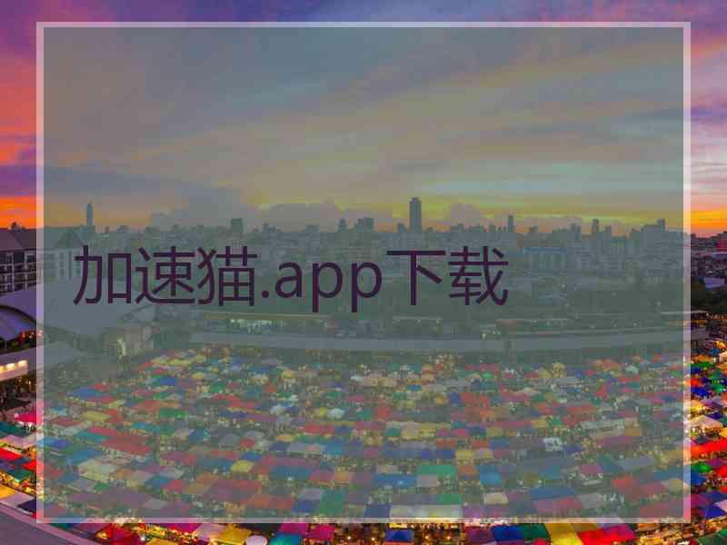 加速猫.app下载