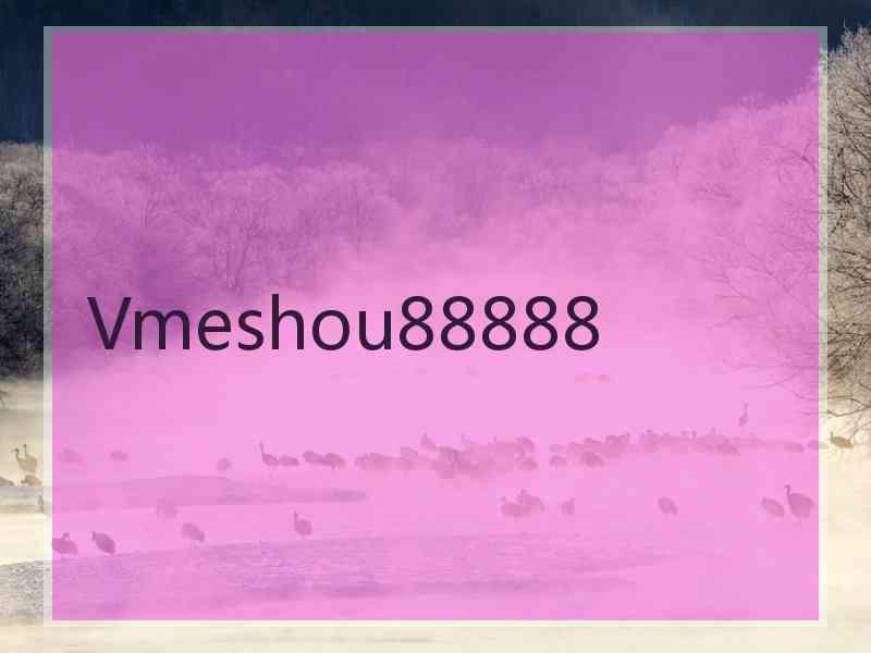 Vmeshou88888