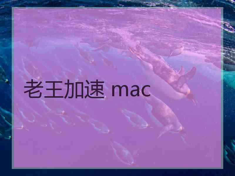 老王加速 mac