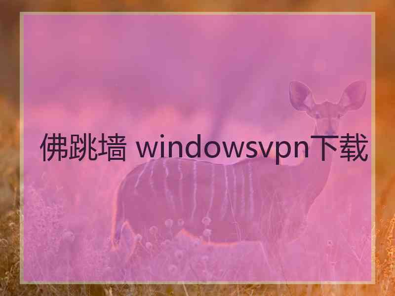 佛跳墙 windowsvpn下载