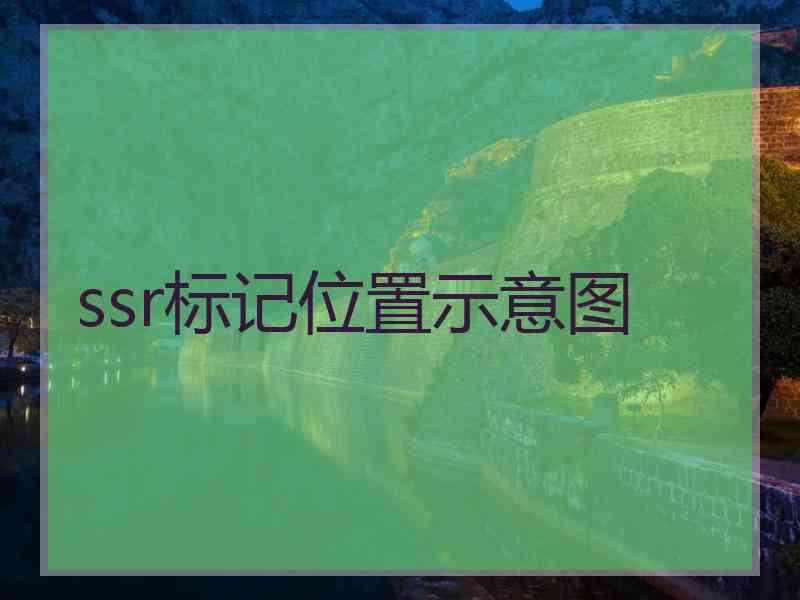 ssr标记位置示意图