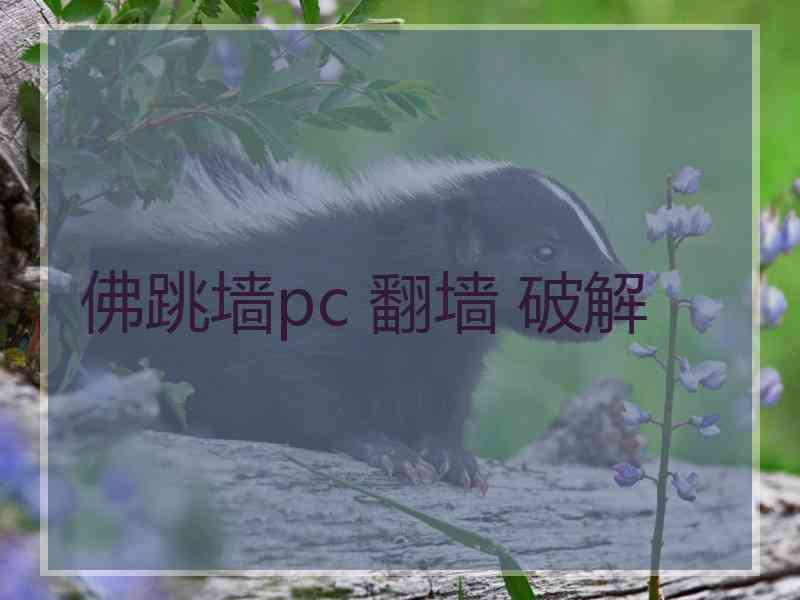 佛跳墙pc 翻墙 破解