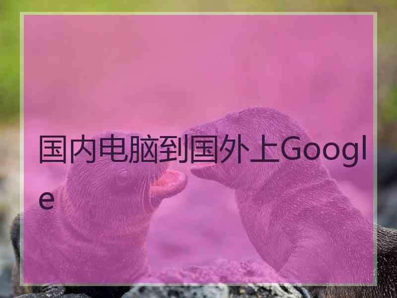 国内电脑到国外上Google