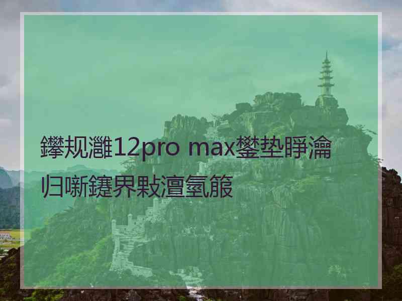 鑻规灉12pro max鐢垫睜瀹归噺鑳界敤澶氫箙