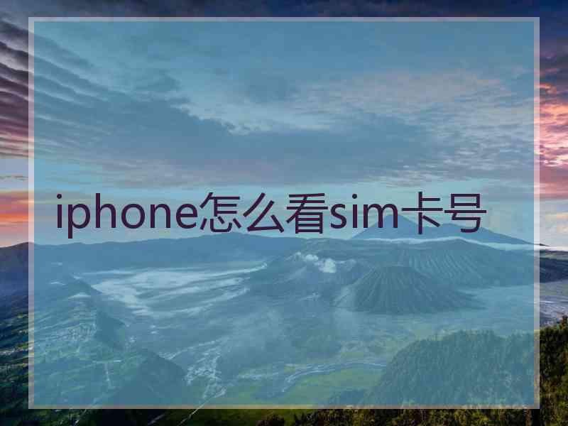 iphone怎么看sim卡号