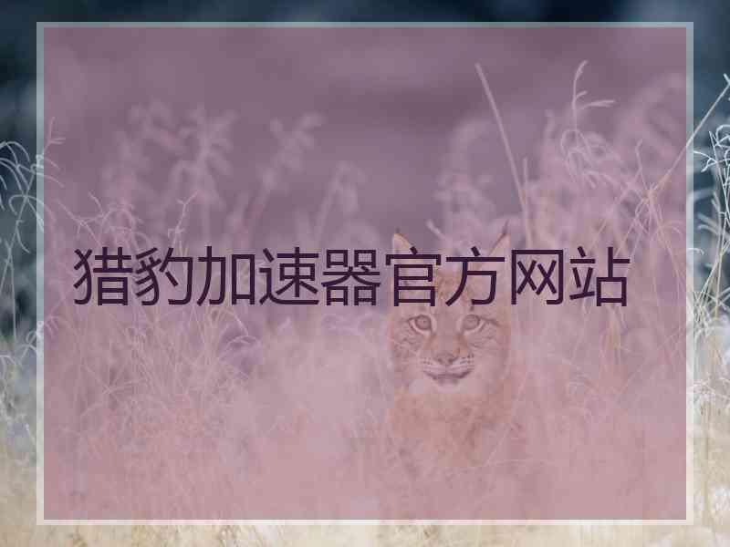 猎豹加速器官方网站