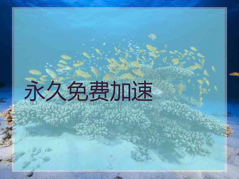 永久免费加速