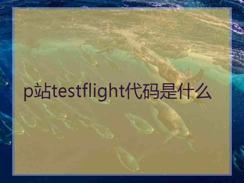 p站testflight代码是什么