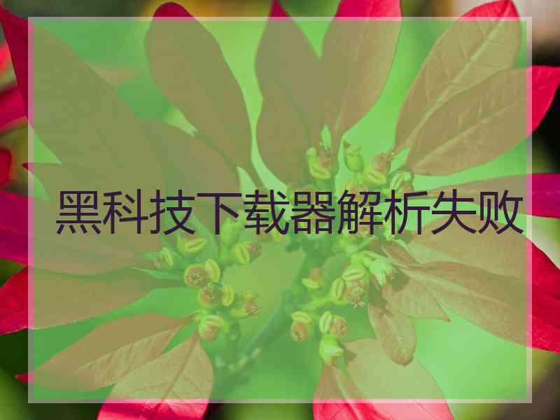 黑科技下载器解析失败