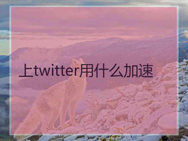 上twitter用什么加速