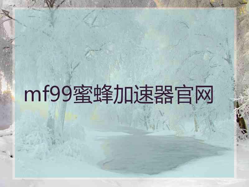 mf99蜜蜂加速器官网