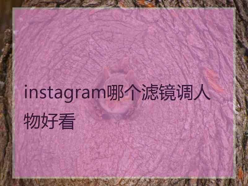 instagram哪个滤镜调人物好看