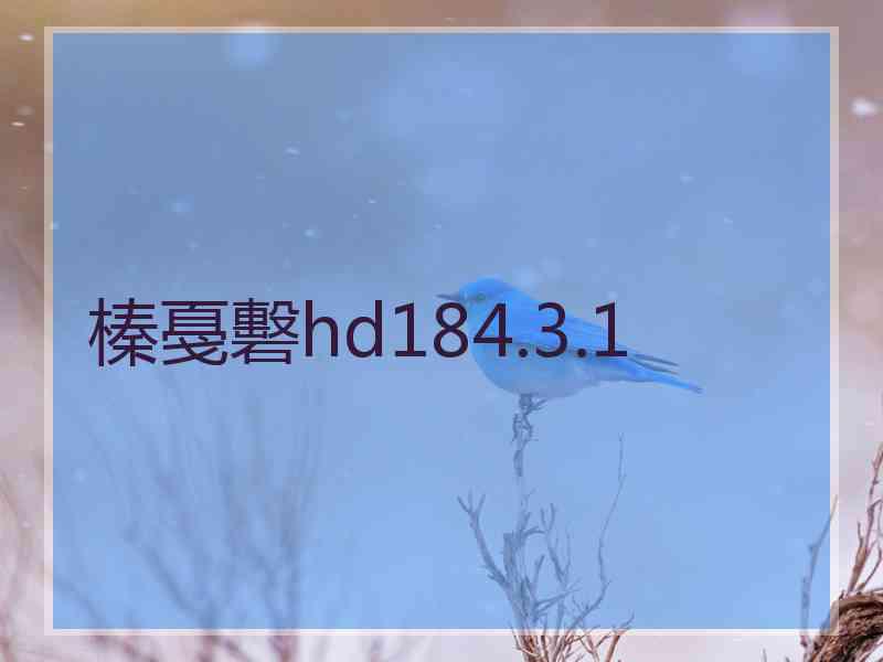 榛戞礊hd184.3.1