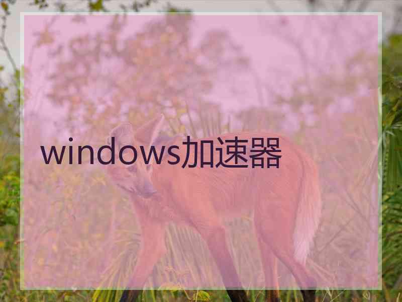 windows加速器