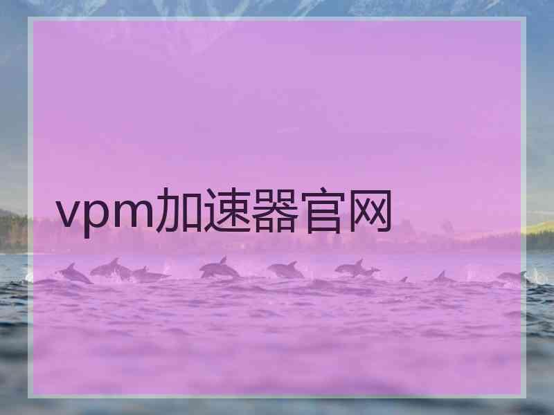 vpm加速器官网