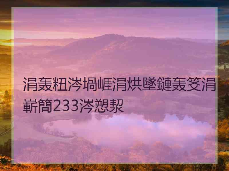 涓轰粈涔堝崕涓烘墜鏈轰笅涓嶄簡233涔愬洯