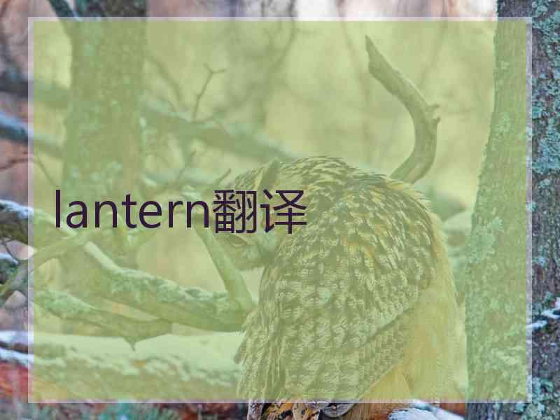 lantern翻译