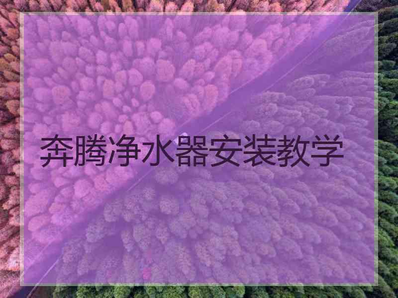 奔腾净水器安装教学