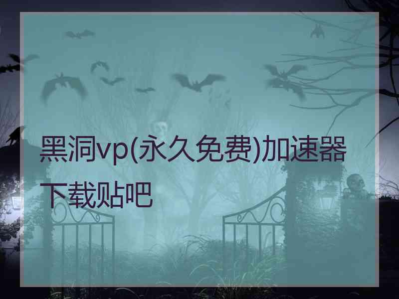 黑洞vp(永久免费)加速器下载贴吧