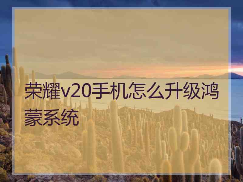 荣耀v20手机怎么升级鸿蒙系统