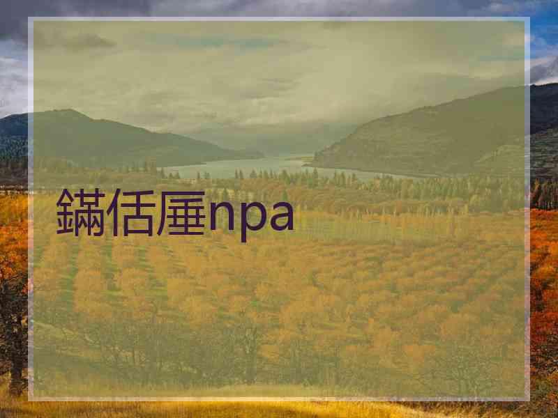 鏋佸厜npa