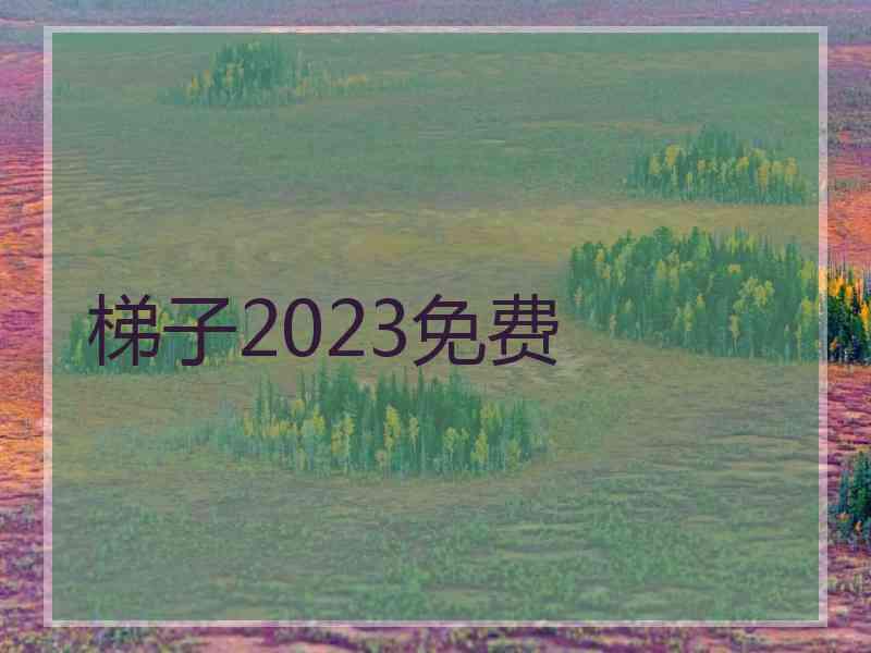 梯子2023免费