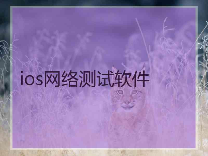 ios网络测试软件