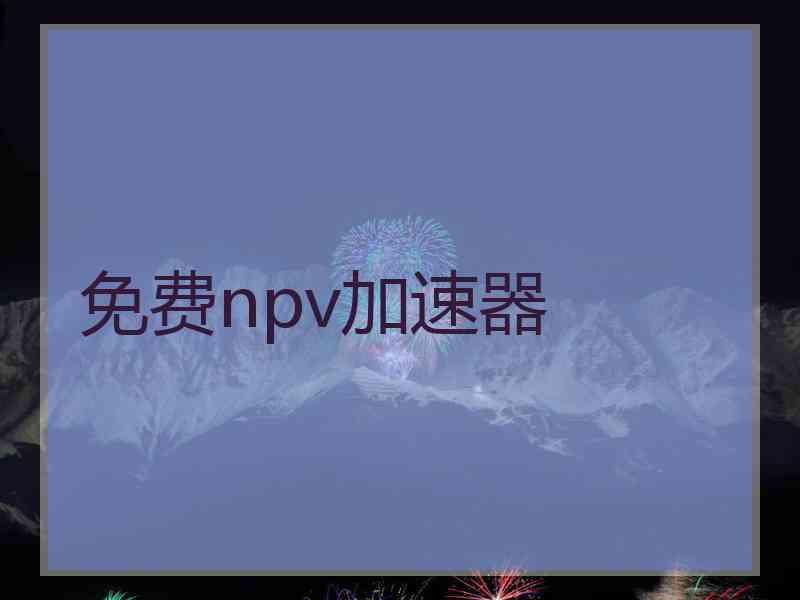 免费npv加速器