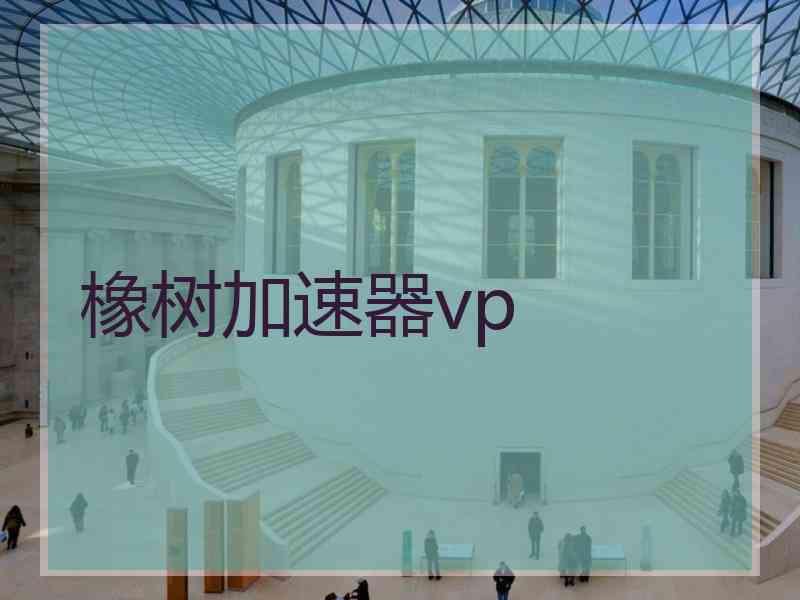 橡树加速器vp