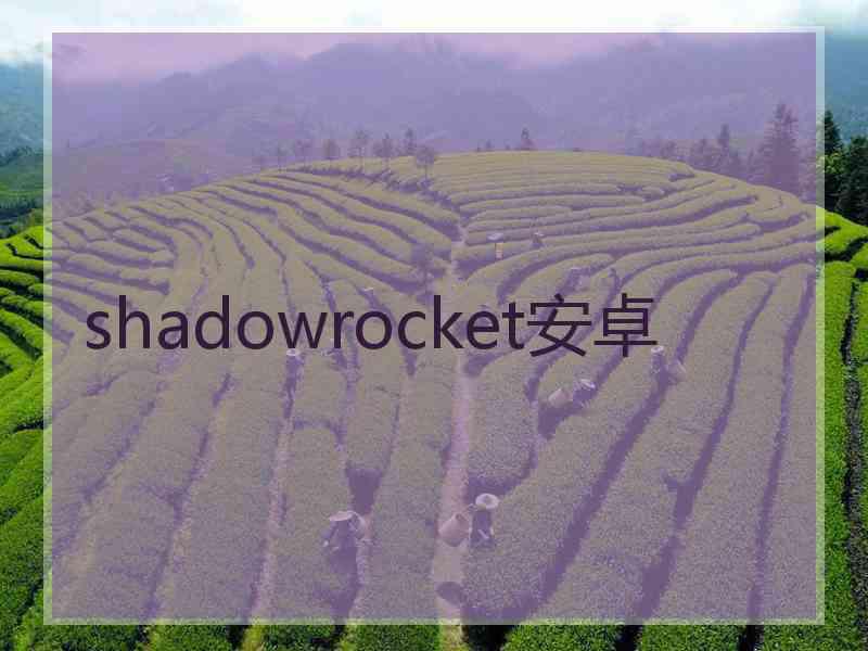 shadowrocket安卓