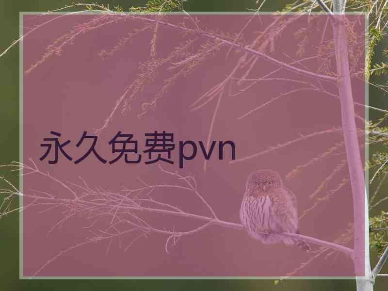 永久免费pvn