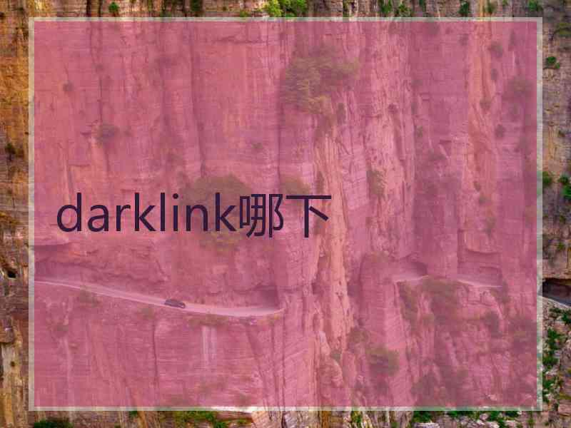 darklink哪下