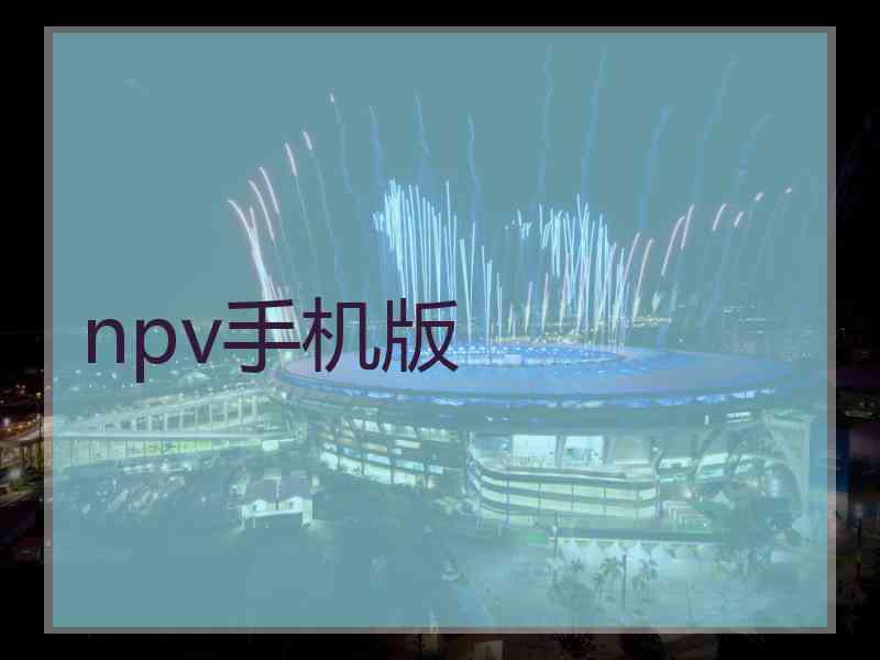 npv手机版