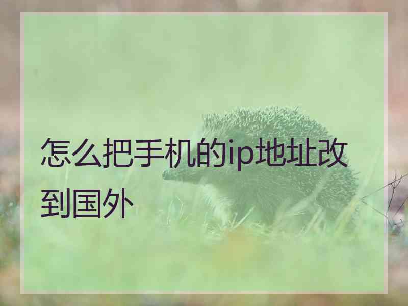 怎么把手机的ip地址改到国外