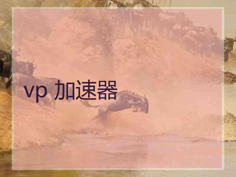 vp 加速器