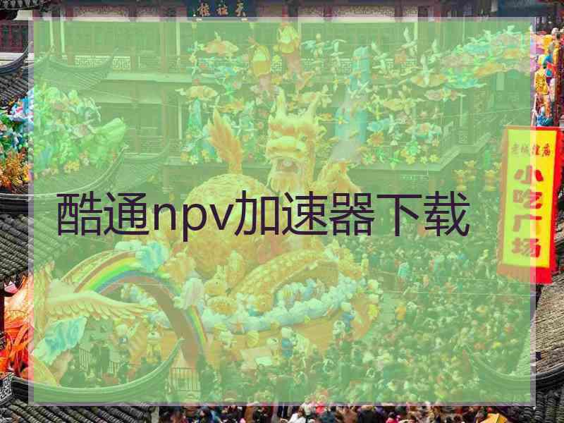 酷通npv加速器下载