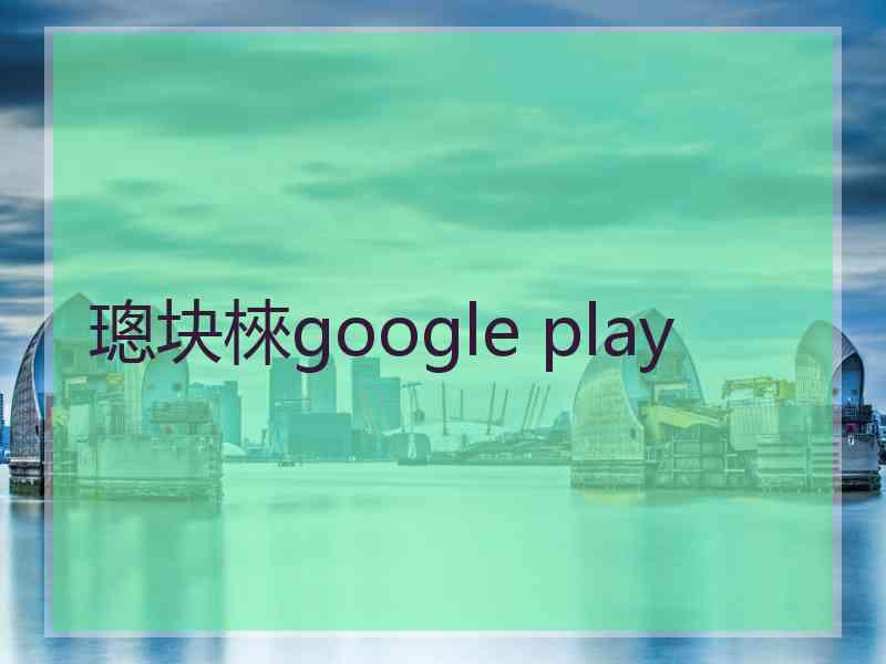 璁块棶google play