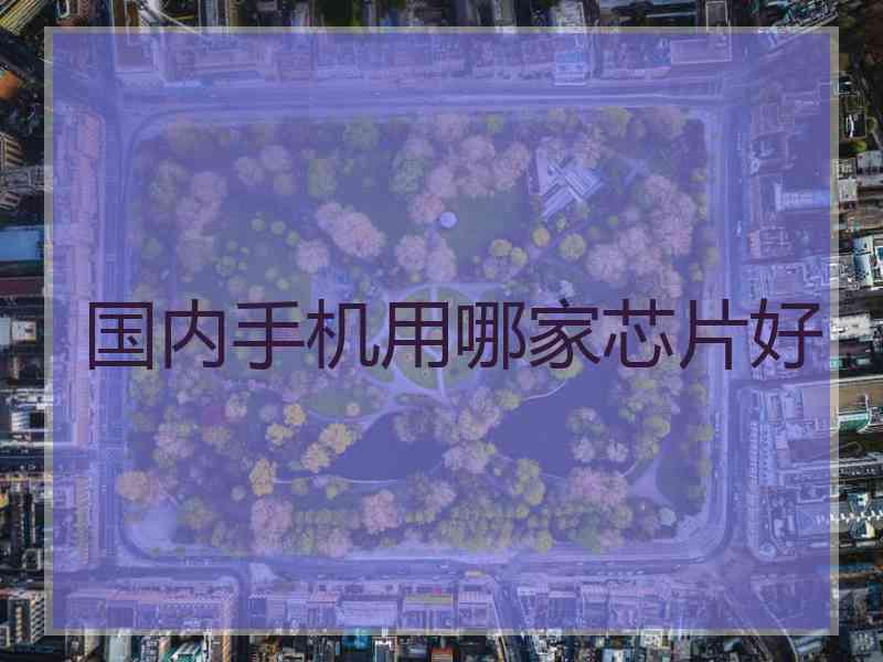 国内手机用哪家芯片好