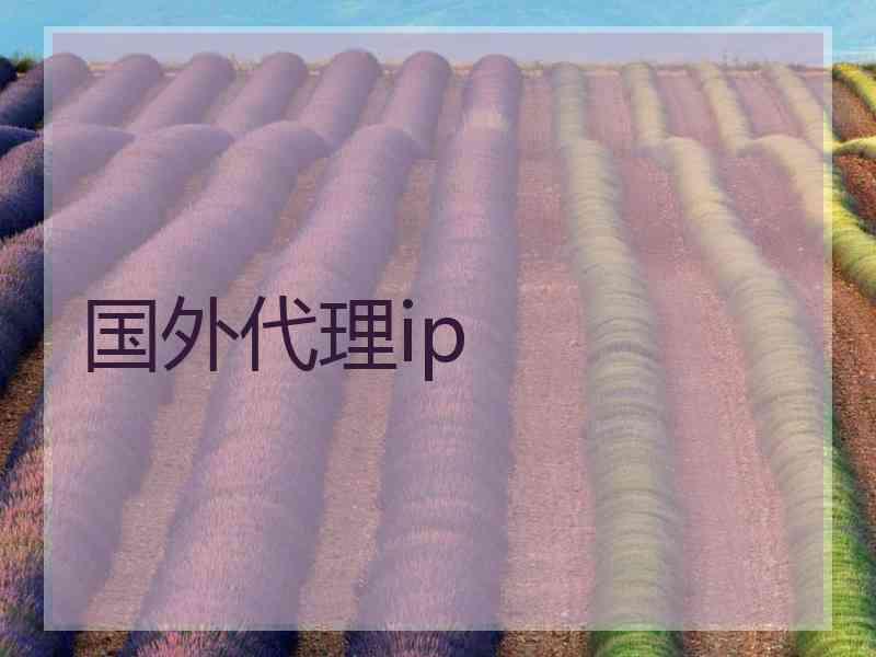 国外代理ip