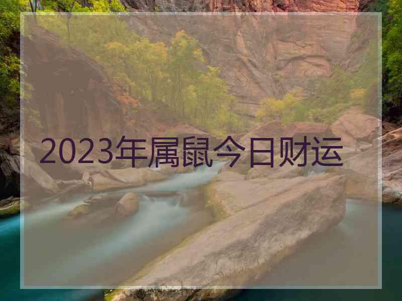 2023年属鼠今日财运