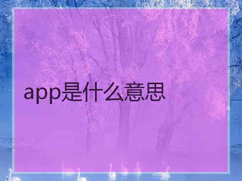 app是什么意思