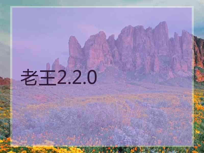 老王2.2.0