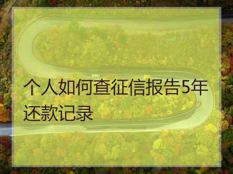 个人如何查征信报告5年还款记录