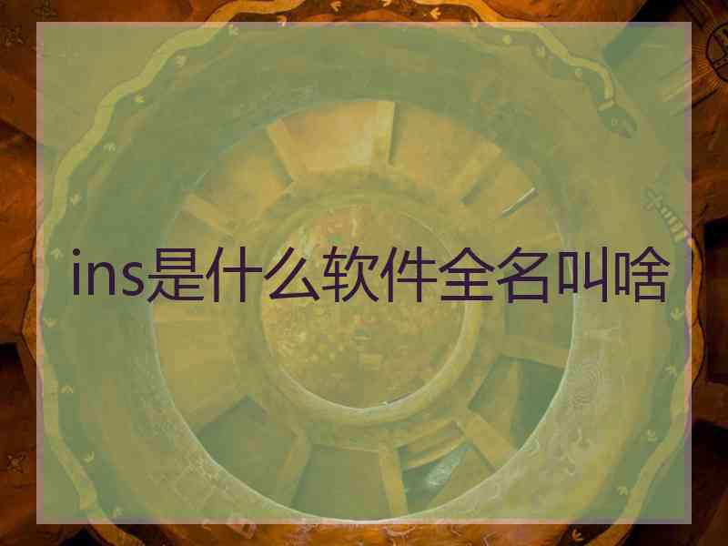 ins是什么软件全名叫啥