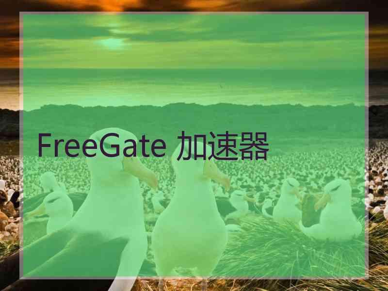 FreeGate 加速器