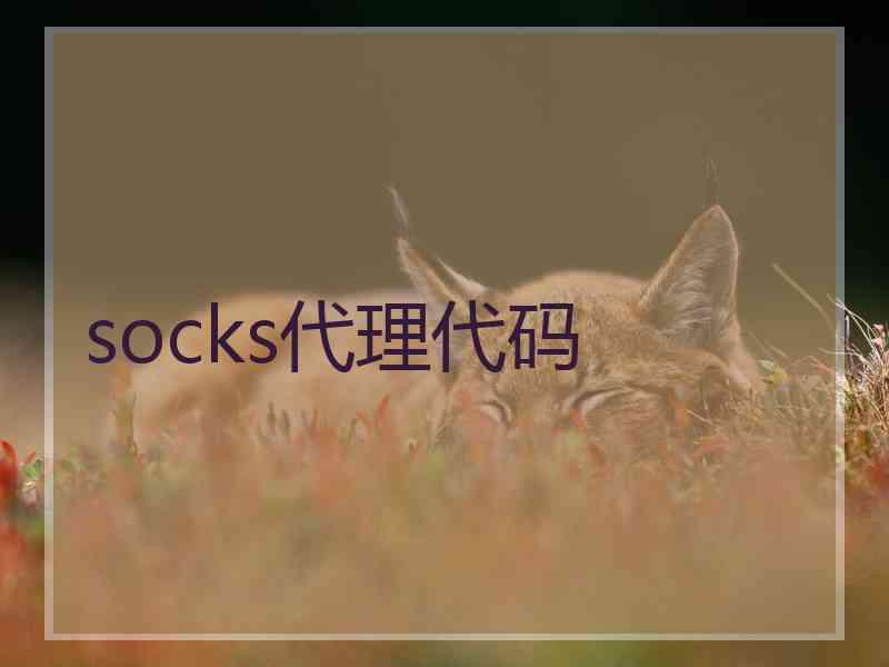 socks代理代码