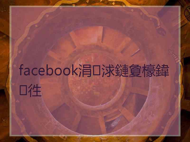 facebook涓浗鏈夐檺鍏徃