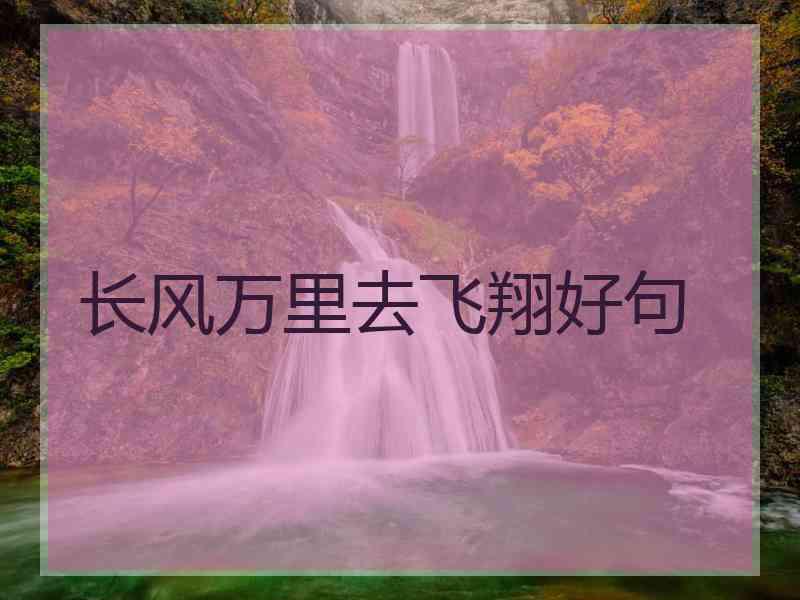 长风万里去飞翔好句